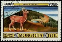 [Games Reserves - Fauna, 类型 AFE]