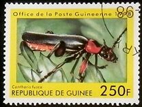 [Beetles from Around the World, Typ BDI]