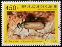 [Beetles from Around the World, Typ BDL]