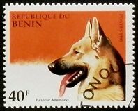 [Dogs, loại QA]