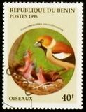 [Birds and their Young, type QI]