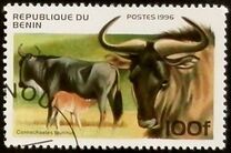 [Mammals, type VE]