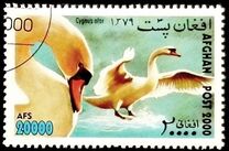 [Fauna - Birds, type AVB]