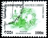 [Rice Cultivation, type BSQ]