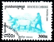 [Rice Cultivation, type BSR]