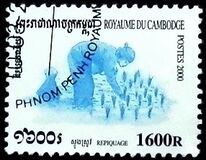 [Rice Cultivation, type BSU]