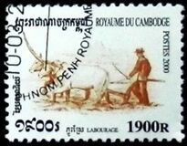 [Rice Cultivation, type BSV]