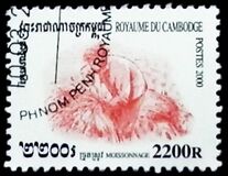 [Rice Cultivation, type BSW]