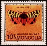 [Butterflies, type ACX]
