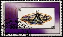 [Butterflies, type BYN]