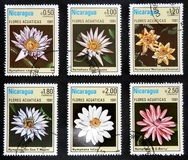 [Aquatic Flowers, Tip BCG]