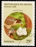 [Birds and their Young, type QK]