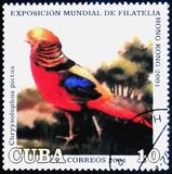 [International Stamp Exhibition Hong Kong 2001 - Hong Kong, China - Birds, Typ GKL]