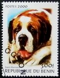[Not Issued - Dogs, тип QQE]