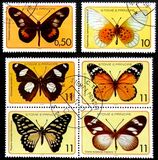 [Butterflies, Tipi FS]