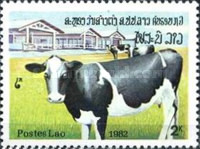 [The 7th Anniversary of the People's Republic, type VR]