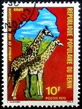 [Endangered Animals, տեսակ ED]
