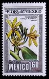 [Airmail - Mexican Flora and Fauna, 類型 BHF]