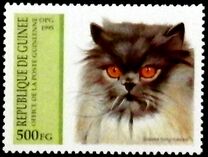 [Cats, type API]