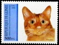 [Cats, type APK]