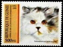 [Cats, type APL]