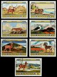 [Games Reserves - Fauna, type AFA]