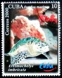 [World Tourism Day - Diving Sites, type GIT]