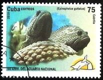 [The 50th Anniversary of the National Aquarium, type IEI]