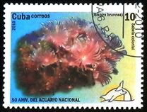 [The 50th Anniversary of the National Aquarium, type IEE]