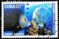 [Tourism - Diving, Вид IEN]