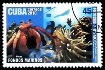 [Tourism - Diving, Вид IEP]