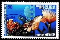 [Tourism - Diving, Вид IEQ]