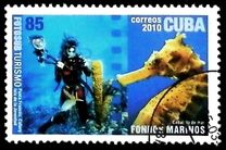 [Tourism - Diving, Вид IES]