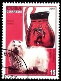 [Dogs & Art, tegund IEW]