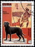 [Dogs & Art, tegund IEX]