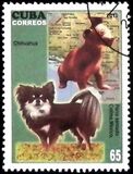 [Dogs & Art, tegund IEY]