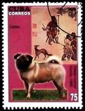 [Dogs & Art, tegund IEZ]