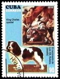 [Dogs & Art, tegund IFA]