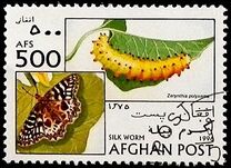 [Fauna - Butterflies & Silkworms, type AMM]