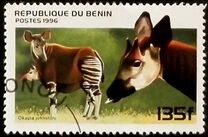 [Mammals, type VF]