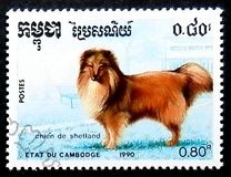 [Dogs, type AJK]