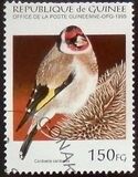 [Birds, type APT]