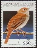 [Birds, type APU]