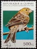 [Birds, type APV]
