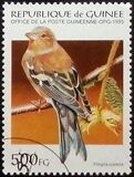 [Birds, type APW]