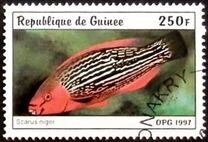 [Fish, type AUC]