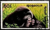 [African Wildlife, 類型 CCP]