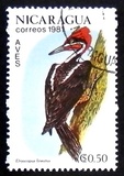 [Birds, type BCW]