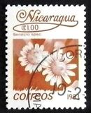 [Flowers, type BGJ]