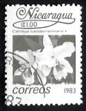 [Flowers, type BGN]